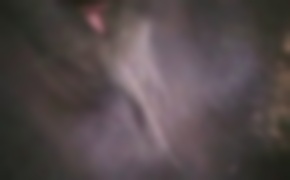 free zoo porn, bestiality porn