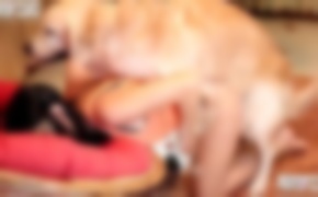teen, girls fuck animals